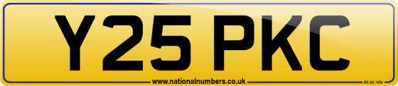 Y25 PKC
