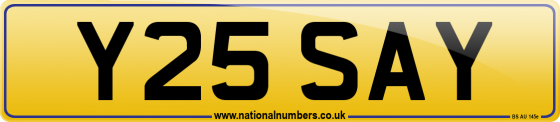 Y25 SAY