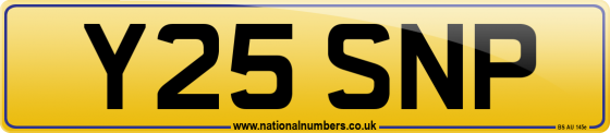 Y25 SNP