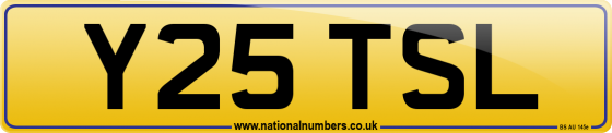 Y25 TSL