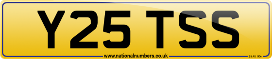 Y25 TSS