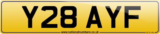 Y28 AYF