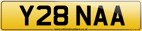 Y28 NAA