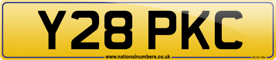 Y28 PKC