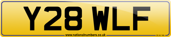 Y28 WLF