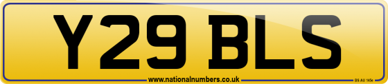 Y29 BLS