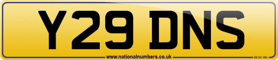 Y29 DNS