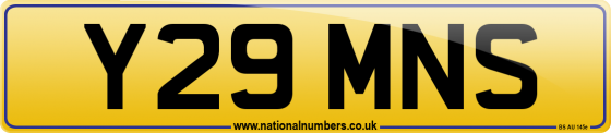 Y29 MNS