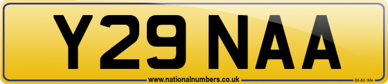 Y29 NAA