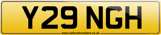 Y29 NGH