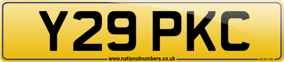 Y29 PKC