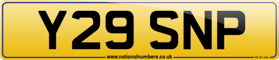 Y29 SNP