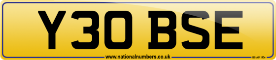 Y30 BSE