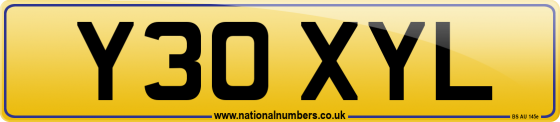 Y30 XYL
