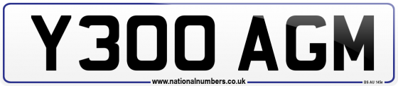 Y300 AGM