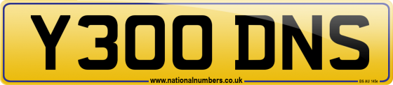 Y300 DNS