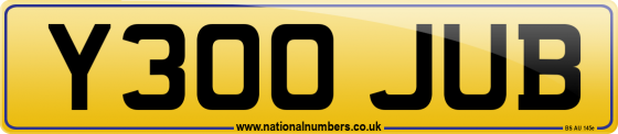 Y300 JUB