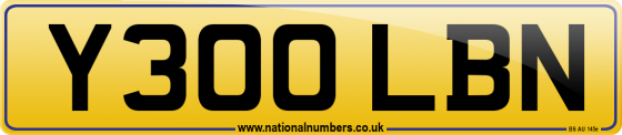 Y300 LBN