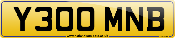 Y300 MNB