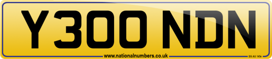 Y300 NDN