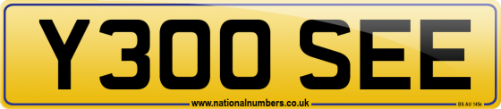 Y300 SEE