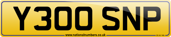 Y300 SNP