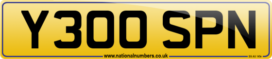 Y300 SPN