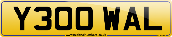 Y300 WAL