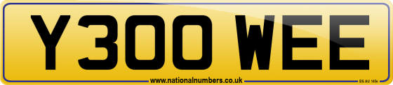 Y300 WEE