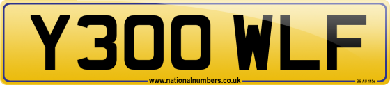 Y300 WLF
