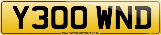 Y300 WND