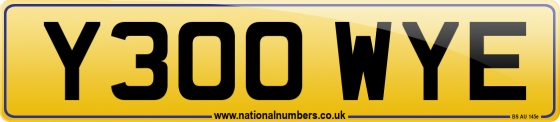 Y300 WYE