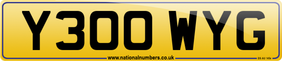 Y300 WYG