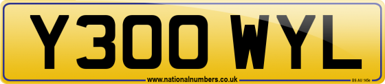 Y300 WYL