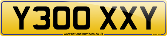 Y300 XXY