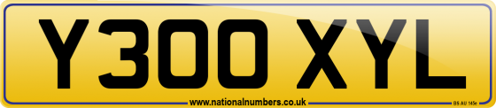 Y300 XYL