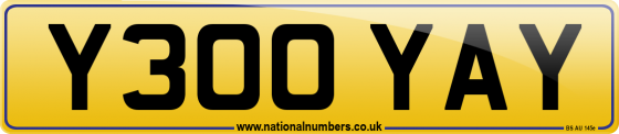 Y300 YAY
