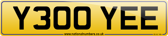 Y300 YEE