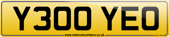 Y300 YEO