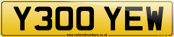 Y300 YEW