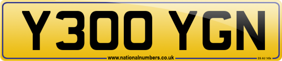 Y300 YGN