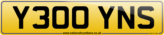 Y300 YNS