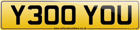 Y300 YOU