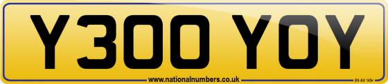 Y300 YOY