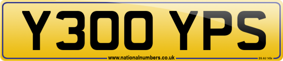 Y300 YPS