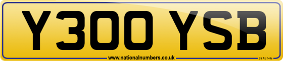 Y300 YSB