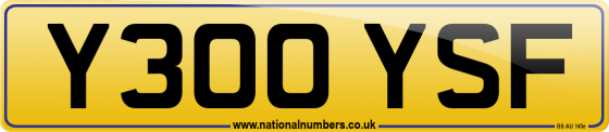 Y300 YSF
