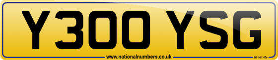 Y300 YSG