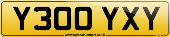 Y300 YXY