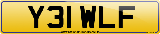 Y31 WLF